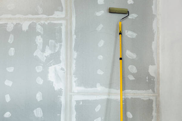 Best Environmental Consulting for Mold Prevention  in Fayetteville, AL