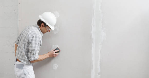 Best Real Estate Mold Inspection  in Fayetteville, AL