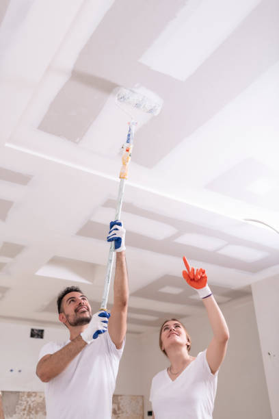 Best Mold Odor Removal Services  in Fayetteville, AL
