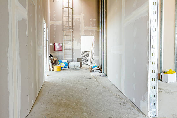 Best Airborne Mold Testing  in Fayetteville, AL