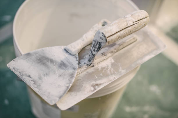 Best Attic Mold Removal  in Fayetteville, AL